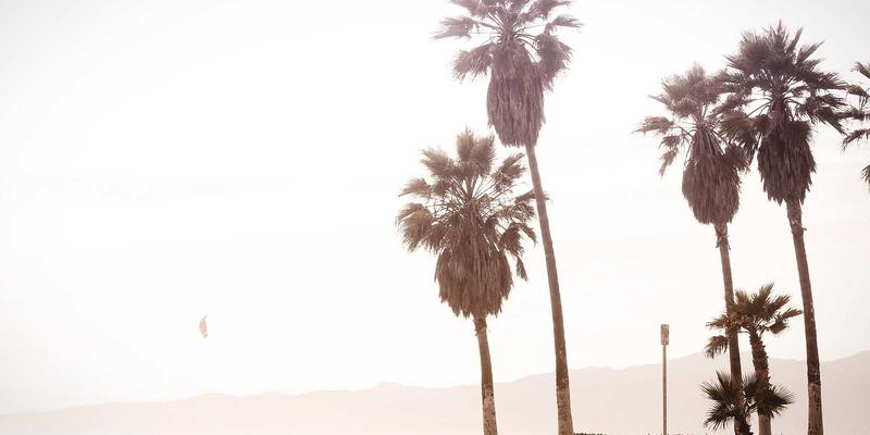 TRX悬挂训练带：不稳定平面上的核心肌群全方位激活指南