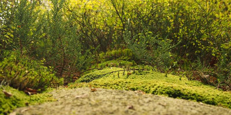 WL FIT健身指南：科学补充维生素与蛋白粉，解锁高效健身新维度