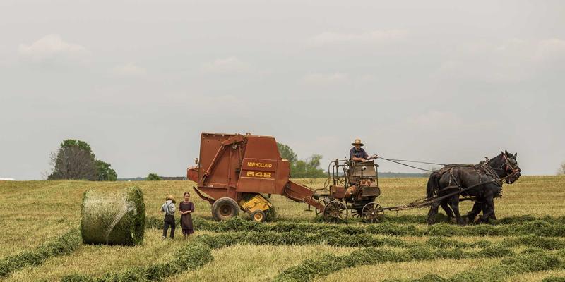 WL FIT力量训练器材全解析：从哑铃、杠铃到固定器械的进阶路径