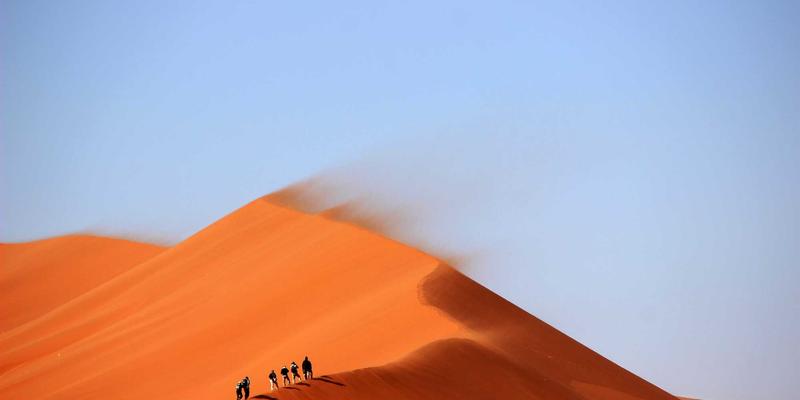 WL FIT蛋白粉与健身器材科学搭配指南：打造家庭高效增肌方案