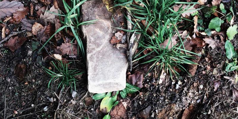 WL FIT运动营养与杠铃革新：打造残障人士友好型健身器材的无障碍设计原则与适应性训练案例