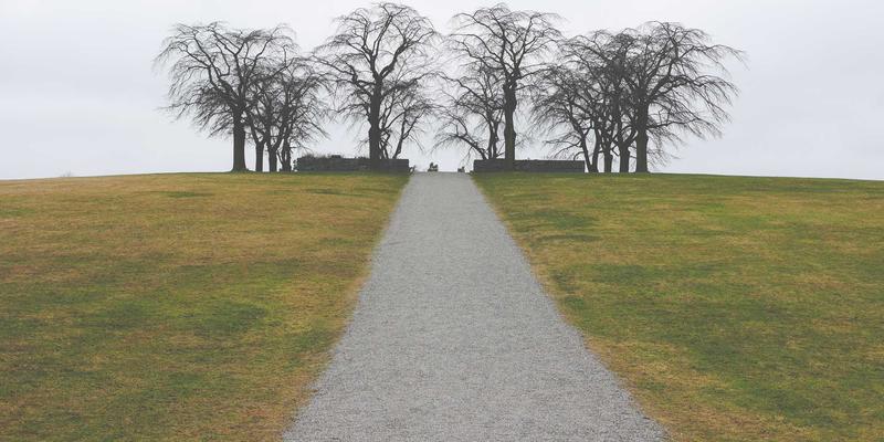 产后恢复器械全攻略：从哑铃到专业器材，搭配维生素的科学选择