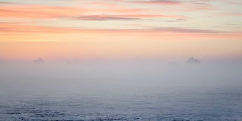 从哑铃到维生素：物联网如何重塑你的个性化健身计划