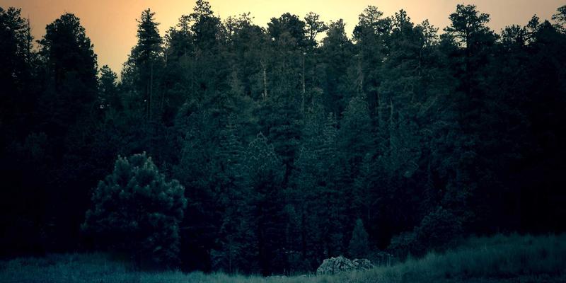 从杠铃哑铃到运动营养：健身器材效能最大化的科学实践