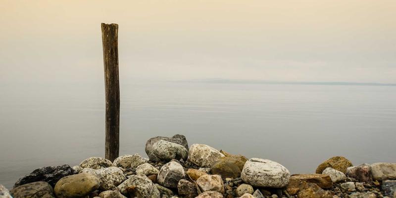 健身器材91：跑步机、蛋白粉与维生素的科学搭配指南