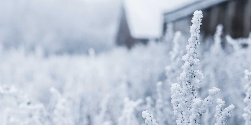 健身器材96:从哑铃训练到运动营养的完整健身计划指南