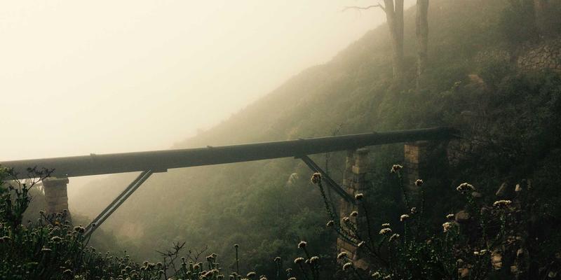 健身器材最佳实践：从杠铃到营养补充的科学融合