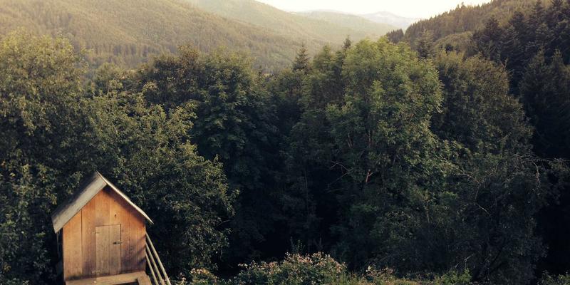 可调节哑铃套装深度评测：对比杠铃与跑步机，揭秘空间节约与耐用性真相