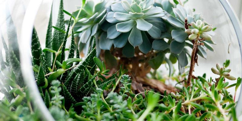 商用健身器材采购全流程：从需求分析到招标验收的专业建议