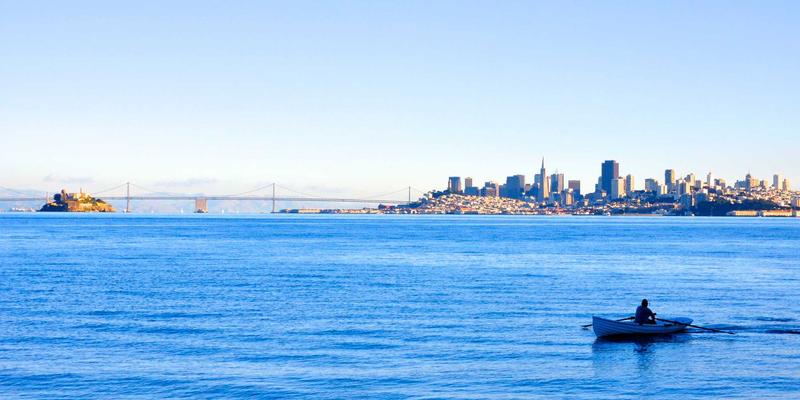 垂直律动机科学揭秘：振动训练如何协同蛋白粉与维生素，成为杠铃之外的骨骼健康新支柱