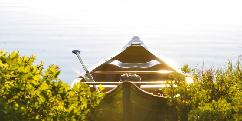 家庭健身革命：弹力带、壶铃、瑜伽球三大神器的高效使用指南与营养（维生素）支持