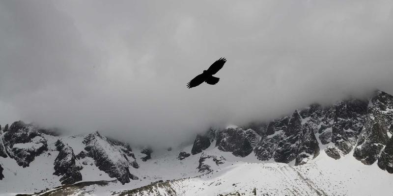 新手健身指南：从哑铃选择到营养补充的完整入门方案