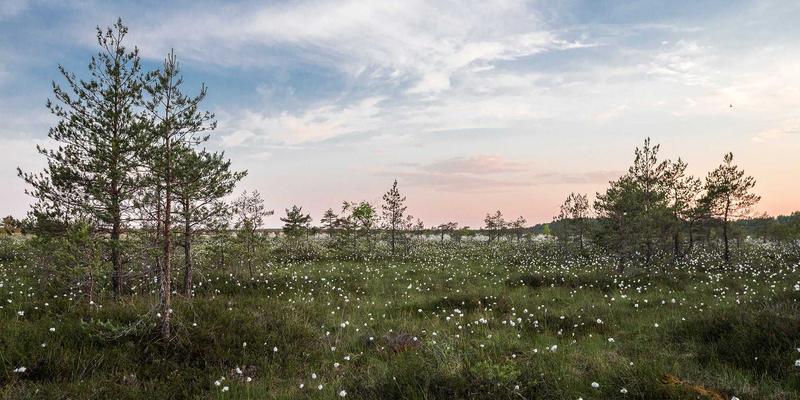 超越杠铃与跑步机：药球、牛角包、雪橇车三大功能性训练器械的深度应用指南