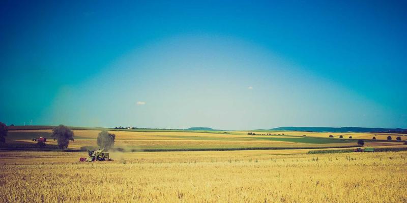 跑步机选购指南与高效健身计划：解锁家庭健身新体验