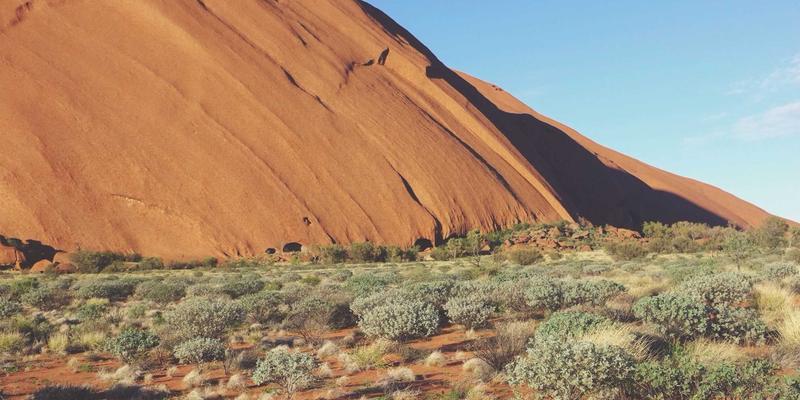 高端家用划船机终极指南：水阻、风阻与磁阻的技术差异与体验对比，助你制定完美健身计划
